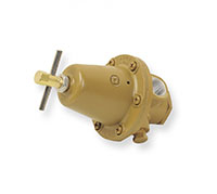 3/4 Inch (in) National Pipe Thread (NPT), 100 to 200 psig Line Regulator