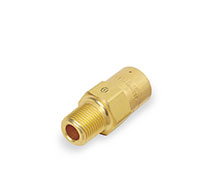 1/4 Inch (in) National Pipe Thread (NPT) Relief Valve with Weep Hole