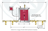 AGM2 Series Carbon Dioxide Gas Manifold Systems - 2