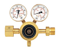 Manifold Regulator