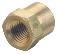 1/4 Inch (in) National Pipe Thread (NPT) Brass F Cap