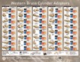 Western Brass Adapter Counter Mat Guide