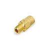 1/4 Inch (in) National Pipe Thread (NPT) Relief Valve with Weep Hole