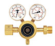 Manifold Regulator